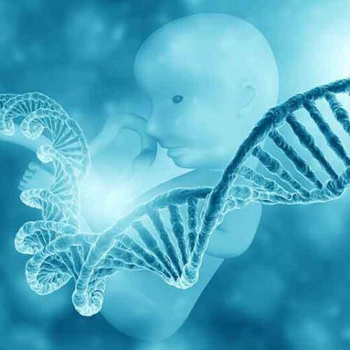 Fetal DNA Testi